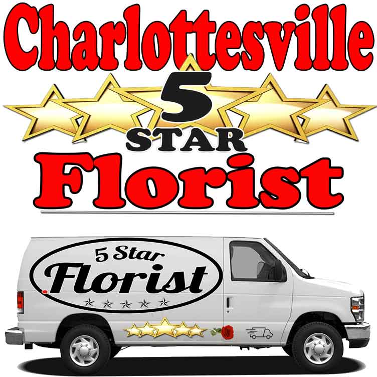 Charlottesville florist-flower