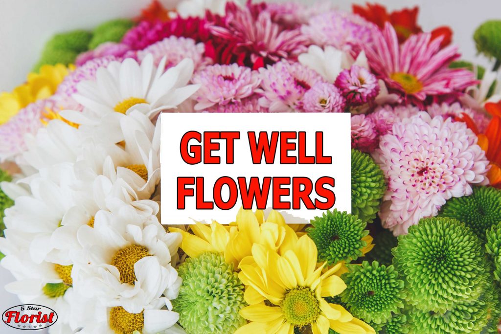 get well flowers Charlottesville