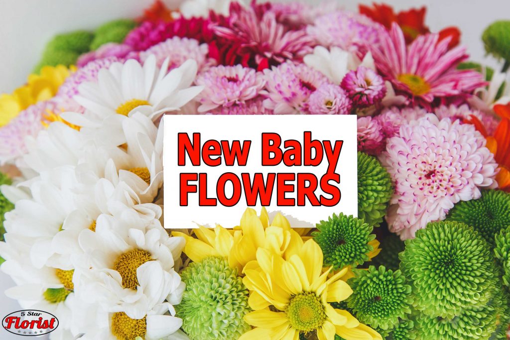 new baby flowers Charlottesville