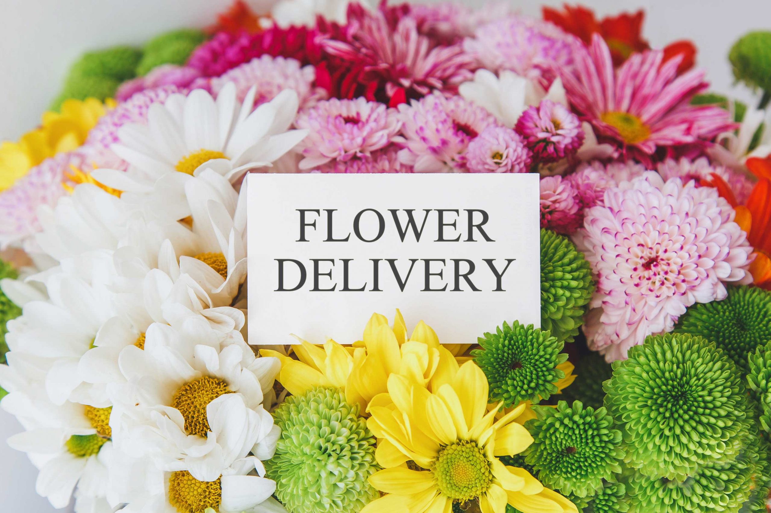 same-day-flower-delivery- Charlottesville